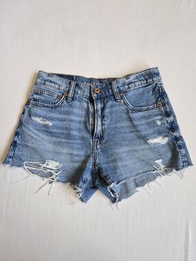 American Eagle 90s Boyfriend Jean Short Denim Shorts Blue 00